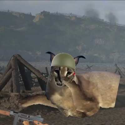 Big Floppa war