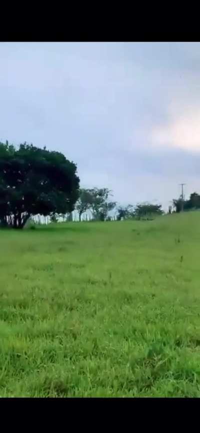 Arambai Tenggol chasing down Kuki militias.