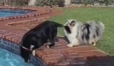 Maybe maybe maybe
