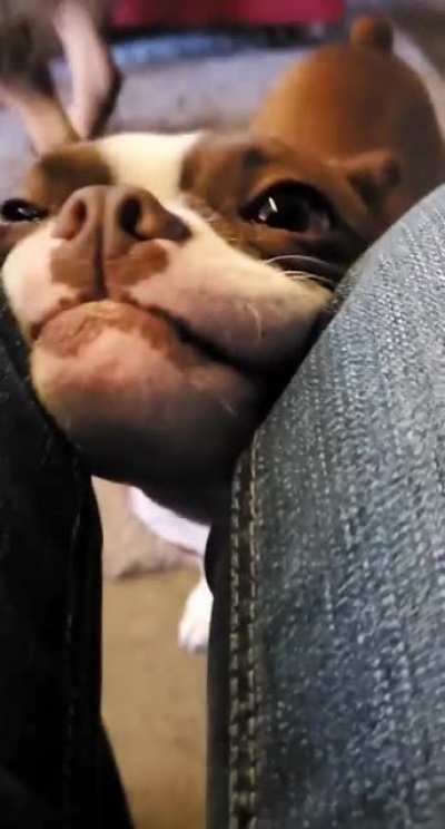 Squeeeesh