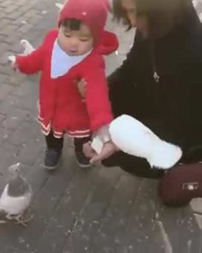 that baby will find you and eat your rice grain