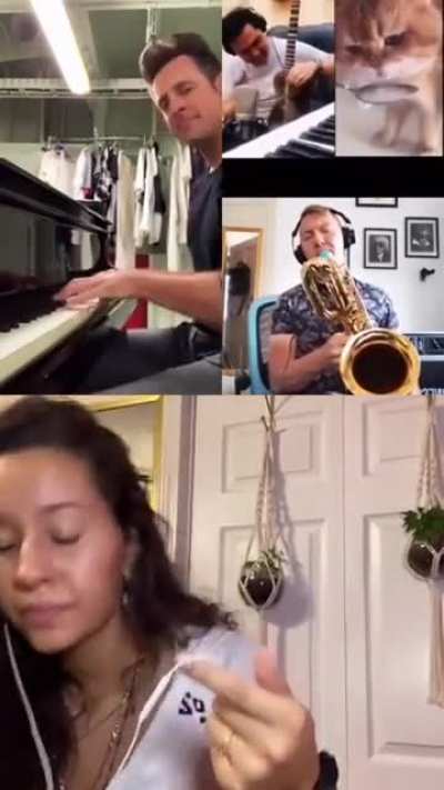 People took a cat drinking milk and turned it into a song