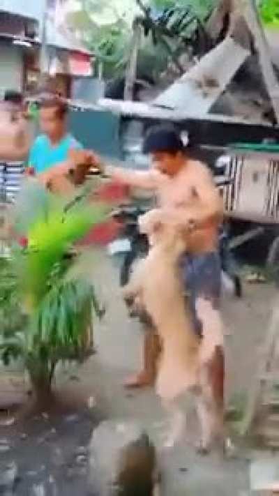 The real alpha male.