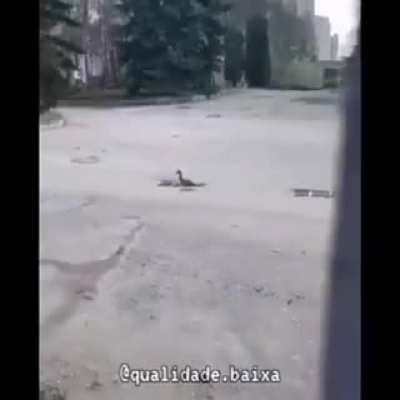 Kskskskk