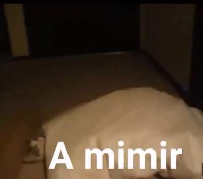 a mimir 😴