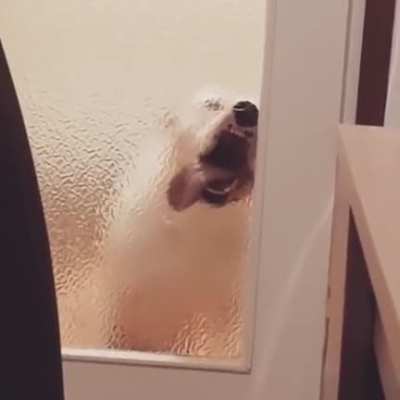 Anybody home?