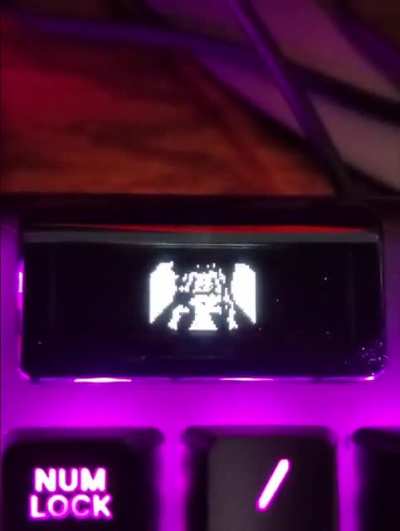I got a Steelseries Apex 7 keyboard for Christmas and found out it had a little OLED screen you could put gifs and images on. I knew exactly what I had to do