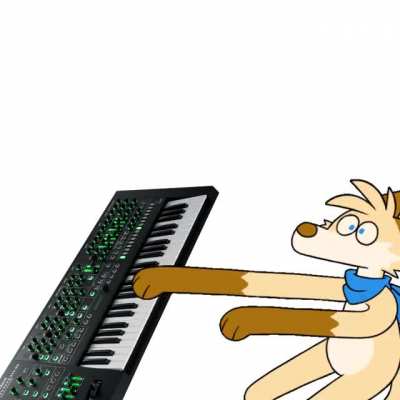 fox_irl