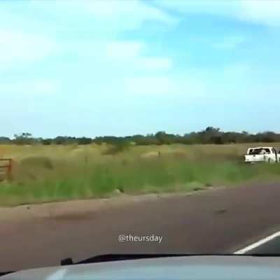 just a normal police chase