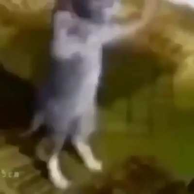 Bruh nigga funny