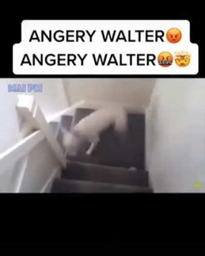 Day 7 of me posting till i have 100k karma