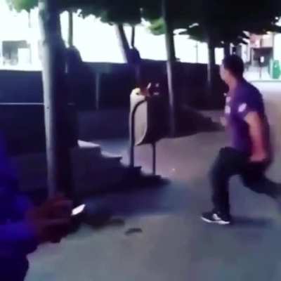 Fighting a bin