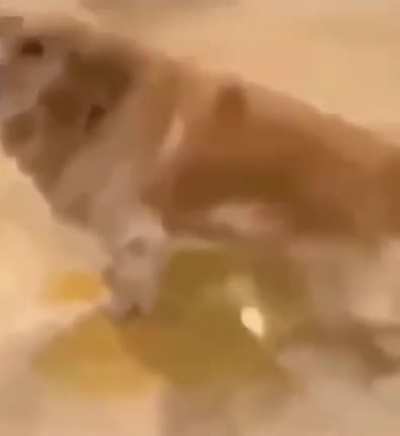 Ma!