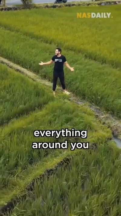 does he know .jpg