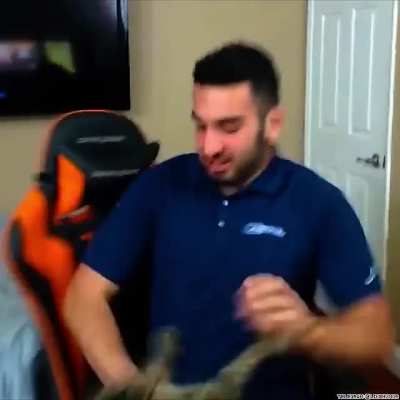 This cat is crazy
