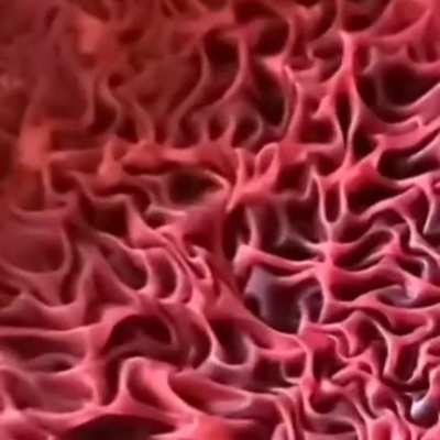 cursed_beetsoup