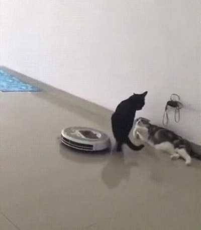 "Keep walking Gary, this doesn't concern you!"