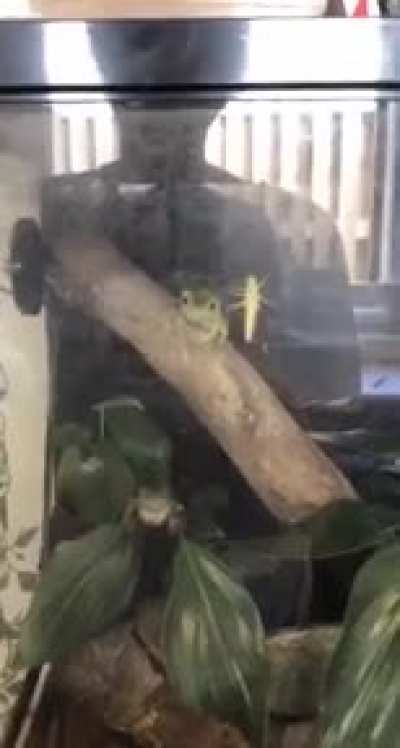 And bon app&eacute;tit