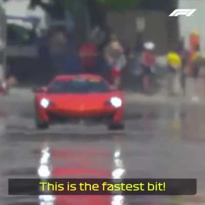 Please Don&rsquo;t Go Fast