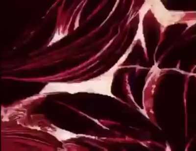 Isso foi uma jojo reference?