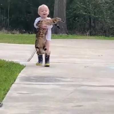 Don't help the poor cat.