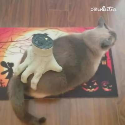 A Halloween scratching (not my video)