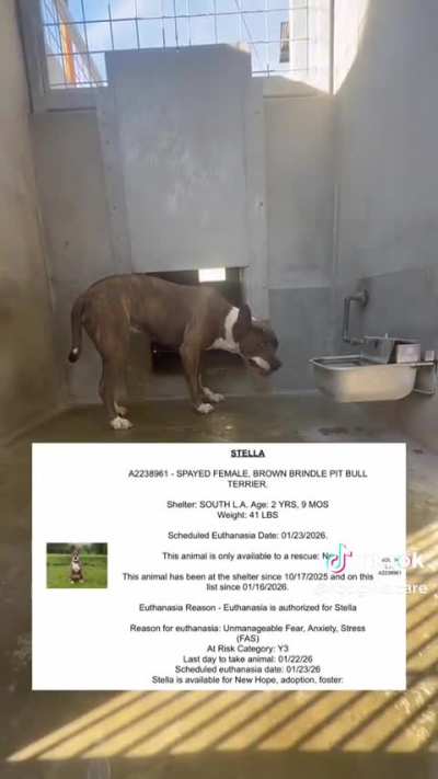 🚨 California Shelter Crisis