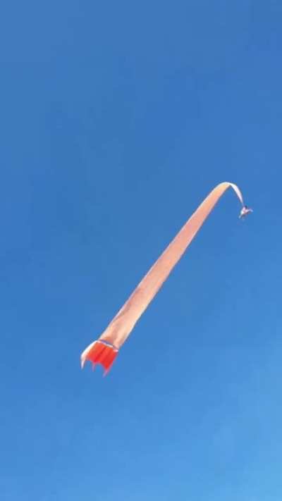 3 Year Old Lifted High Into The Sky During Taiwan Kite Festival
