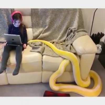 snek wants pets