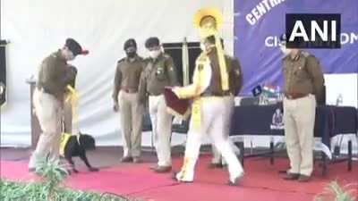 India's CISF's eight canine members officially retired from duty today after 10 yrs of service during which they conducted anti-sabotage checks, participated in mock drills &amp;amp; anti-terror sweeping exercises at Delhi Metro.