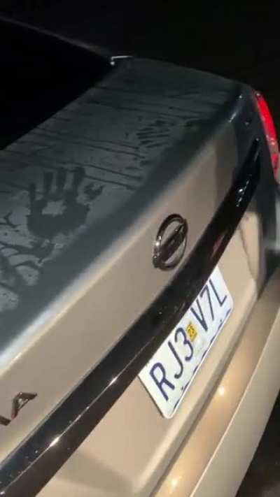 Unusual trunk