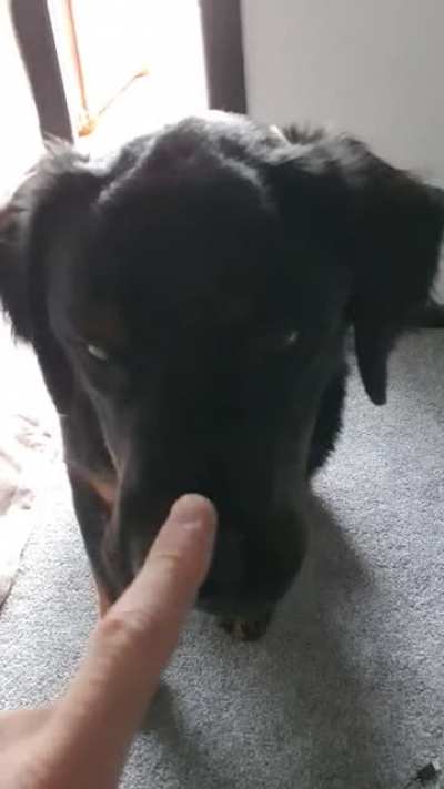 The boop mistake!