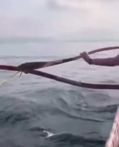 I think I would&rsquo;ve projectile shat myself back to shore.