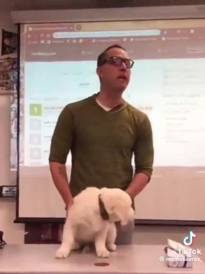 Do your bucking vocab