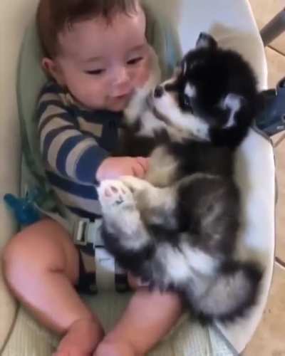 2 little friends