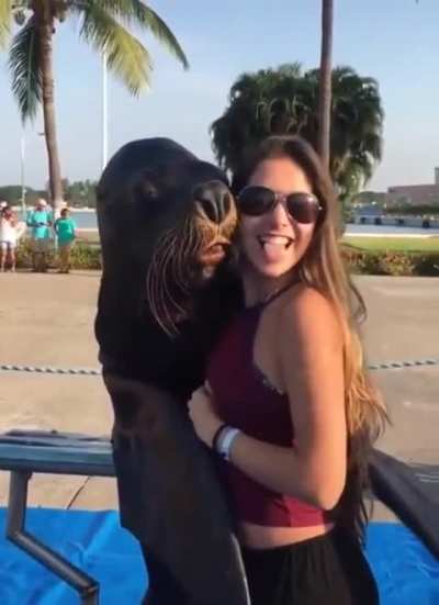 Seal will do anything to go viral&hellip;