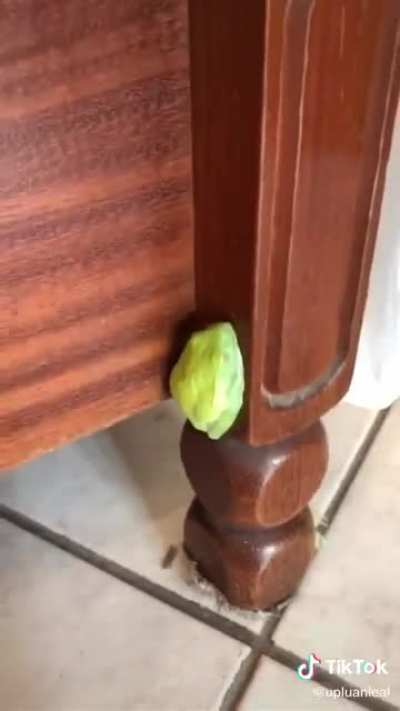 Desloquei a cabe&ccedil;a
