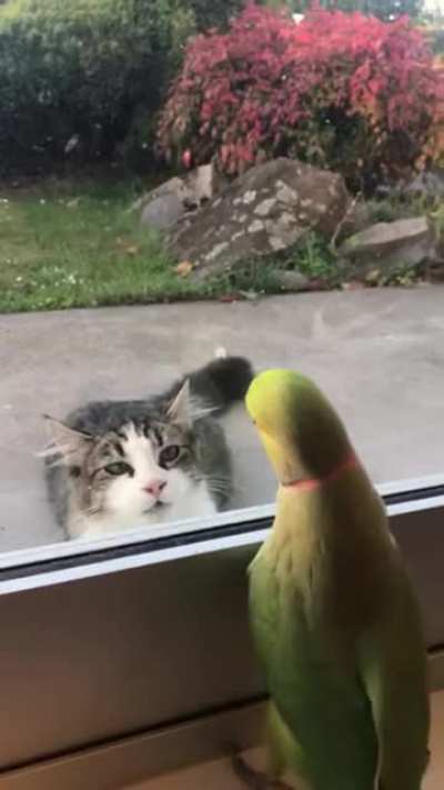 Are you serious?