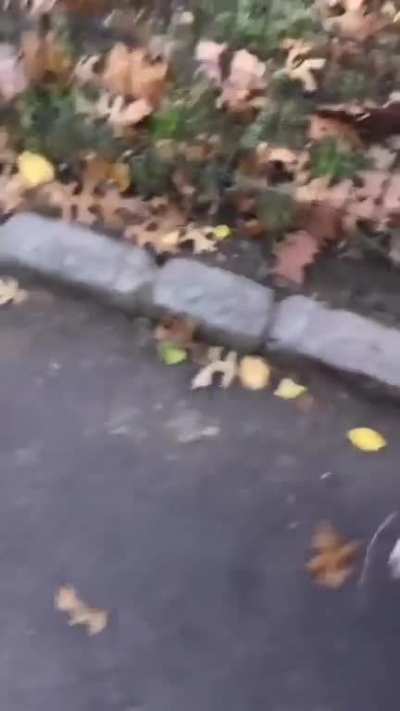WAAAAA