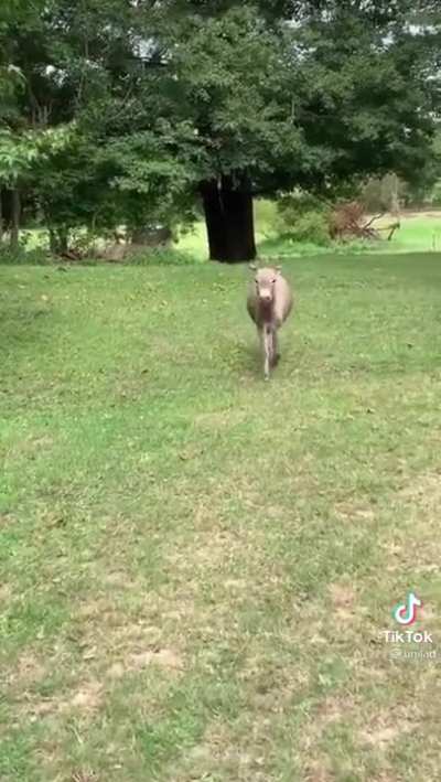 Sound On