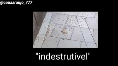 Indestrut&iacute;vel
