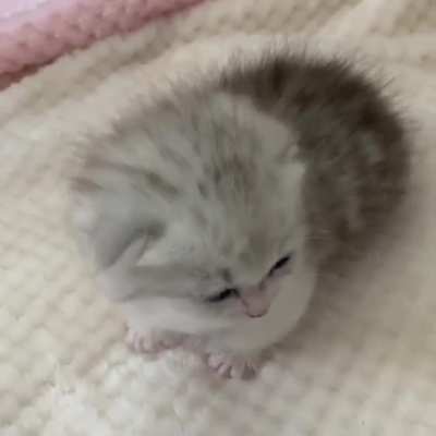 Hello!