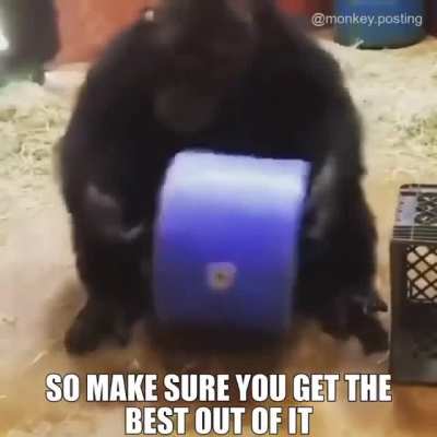 Let&rsquo;s go my chimps, it&rsquo;s that time of the week again so bust out some bananas and round up some monkeys cuz it&rsquo;s funky monkey Friday