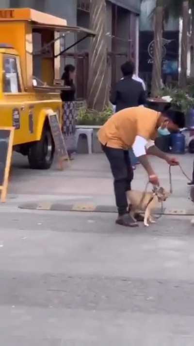 😭😭 I&rsquo;d give that dog a hug