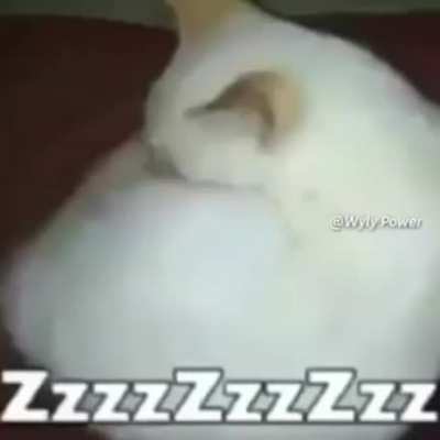 ZzzzZzzZzz