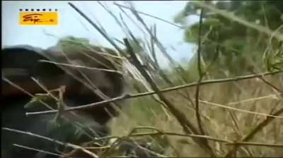 Sri Lankan Commandos Attacking LTTE Tiger Positions [ Thoppigala operation 2007 , Sri lankan Civil War ]