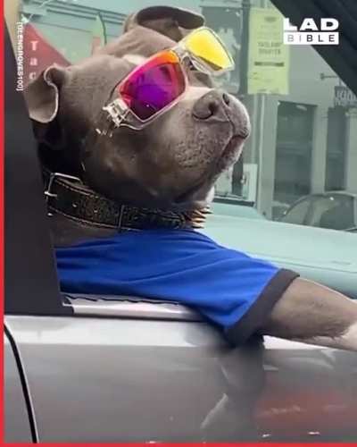Maybe Maybe Maybe