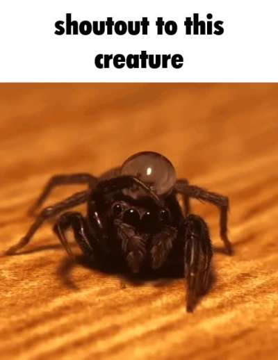 glorbulent wunkoid