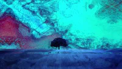 Depth Perception Distortions