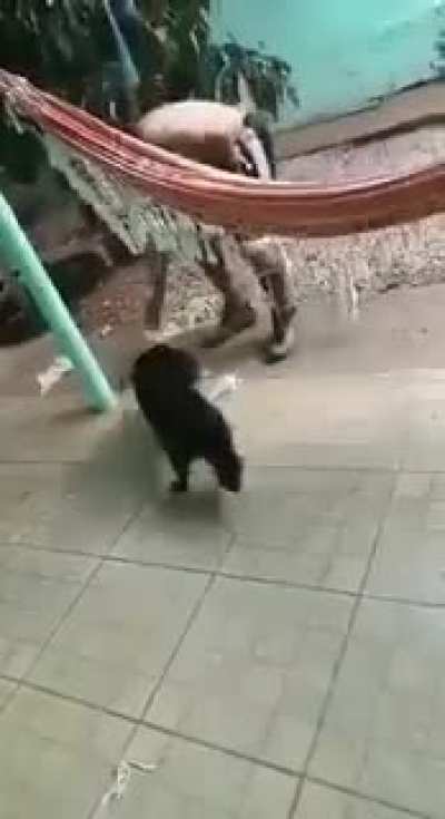 Wait for it